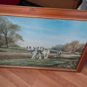 Pictures and large frames