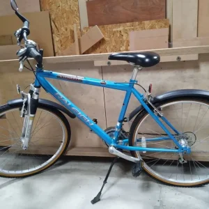 Raleigh stonefly bike