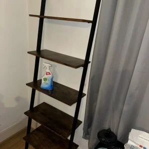 5-Tier Bookshelf with Leaning Ladder Design