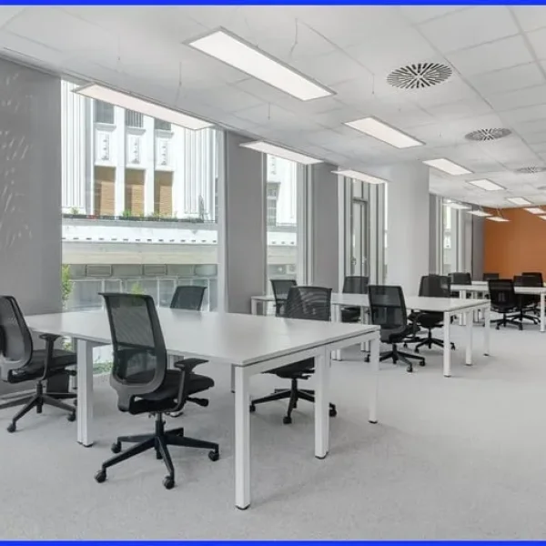 Open plan office space for 15 people in Signature Cobalt