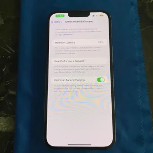 iPhone 13 Pro Max 1TB 99% battery health