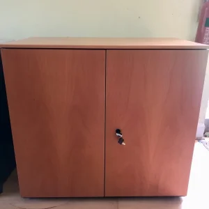 Small 2-door Wooden Storage Unit