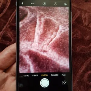 Apple iPhone 6S (32GB) – UNLOCKED, Factory Reset, All Features Working - Image 6