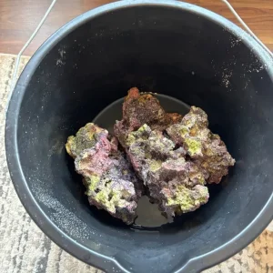 Fish tank bundle - Image 3