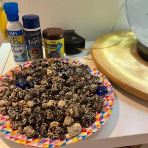 Biorb fish tank bundle (set up) - Image 2