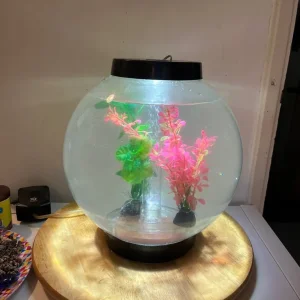 Biorb fish tank bundle (set up)