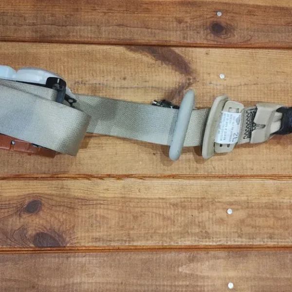 Nissan Elgrand Rear Seatbelts