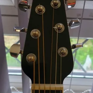 Ovation Celebrity CS28P RG-G Electro Acoustic Guitar