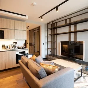1 bedroom furnished room in The Stage