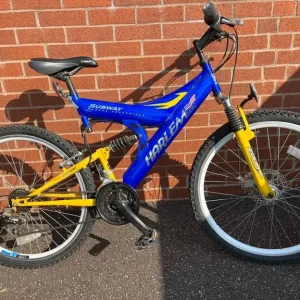 Adult's mountain bike - Image 3