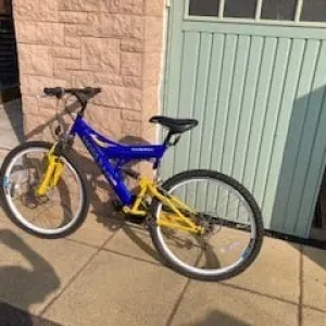 Adult's mountain bike