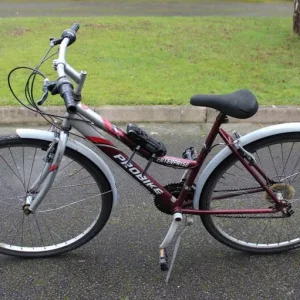 Probike Enterprise bicycle, 19" frame, 18 gears, mudguards, kick stand, sturdy lock with 3 keys