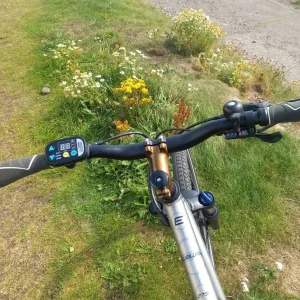 Carrera subway e bike - Image 4