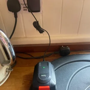 Flymo Easiweeder - Image 2