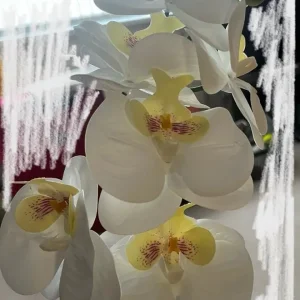 Synthetic orchid with white flowers - Image 2