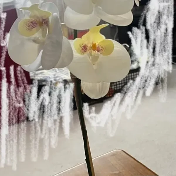 Synthetic orchid with white flowers