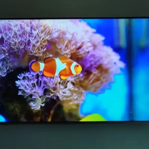 50" Hisense smart TV - Image 2