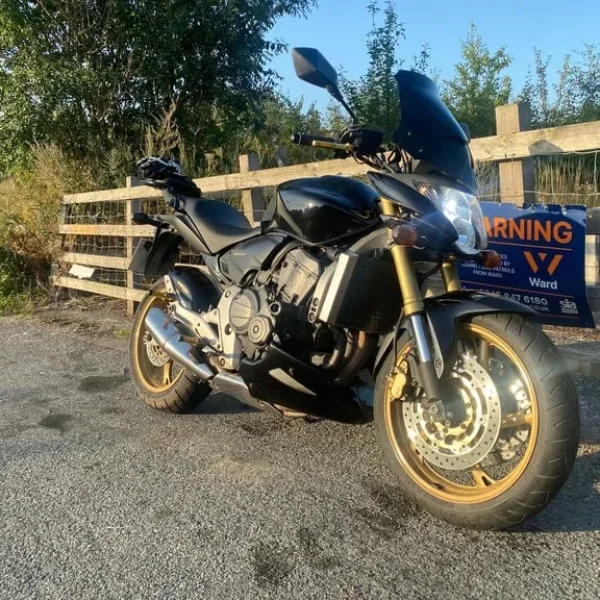 Honda CB600F Hornet 2009 599cc