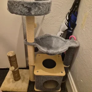 cat tree