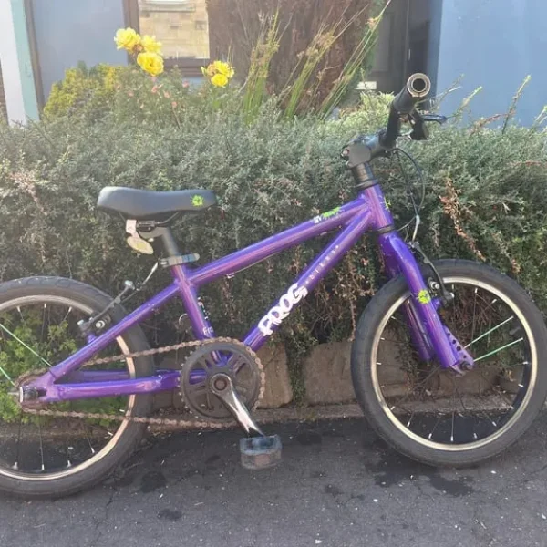 Frog 48 bike purple