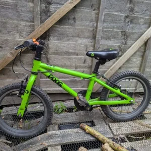 Green Frog 48 - Image 2