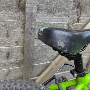 Green Frog 48 - Image 4