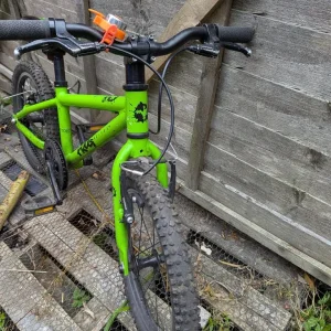 Green Frog 48 - Image 5