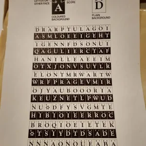 Option word game - Image 5