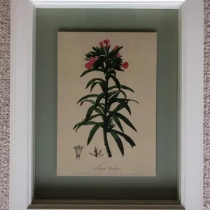 Flower Picture in White Frame with Echium Grandiflorum on Beige Background - Image 2
