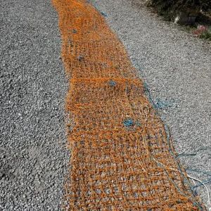 3 Skip Type Nets