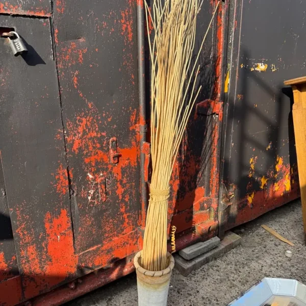 Vase with bamboo sticks