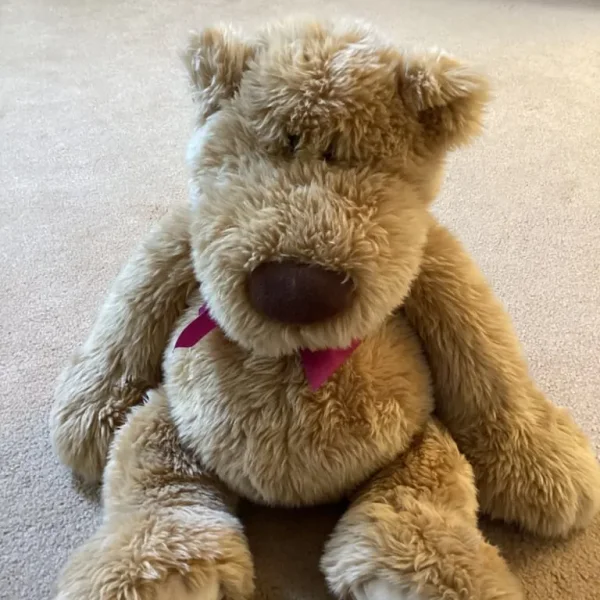 Large Teddy Bear