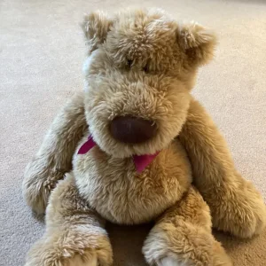 Large Teddy Bear