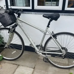 Ladies 20” bike with basket and stand