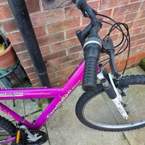 Ladies mountain bike - Image 3