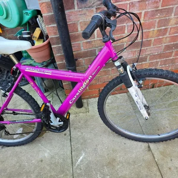 Ladies mountain bike