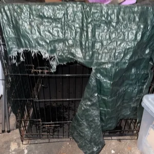 Dog crate - large dogs