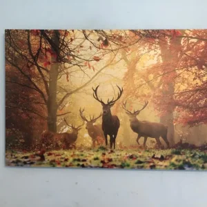 Selection of Framed Prints and Embroidery - Image 5