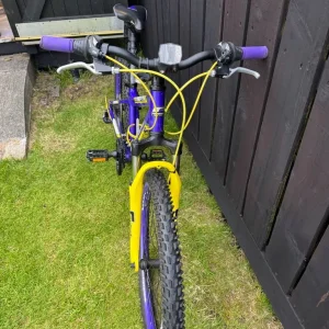 Girls mountain bike - Image 4