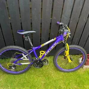Girls mountain bike