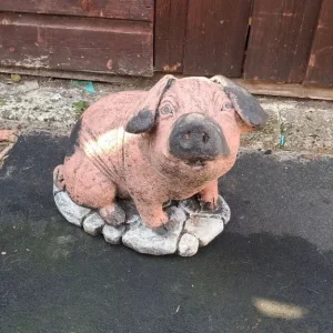 Garden concrete pig ornament