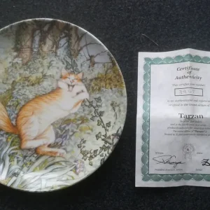 Zoe Stokes ‘Tarzan’ Limited Edition Collector’s Plate - Image 4