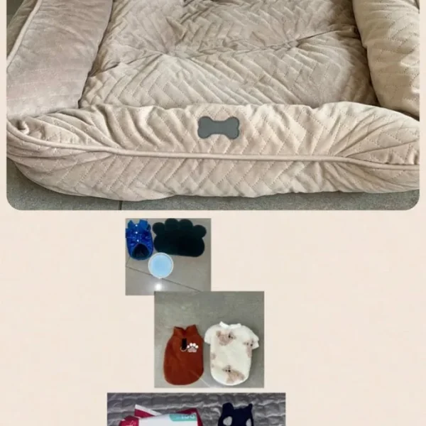 Dog Bed Bundle Perfect For A Puppy Mostly NEW