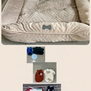 Dog Bed Bundle Perfect For A Puppy Mostly NEW