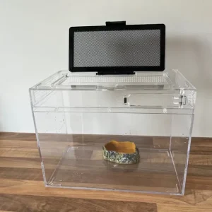 Small reptile tank