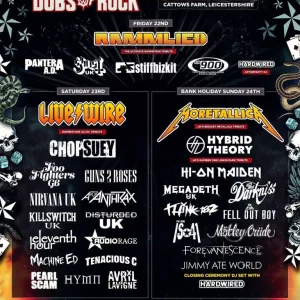 Festival ticket