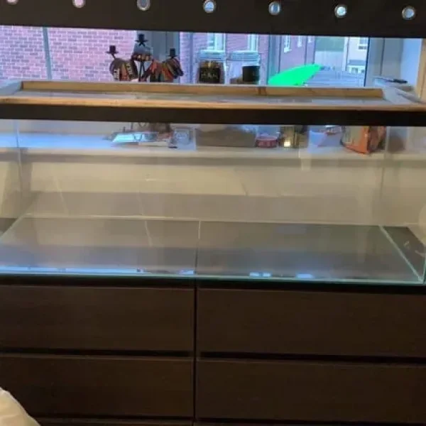 Large glass tank for rodents