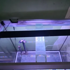 Fluval 230l fish tank with filter, lights, and custom weir - Image 8