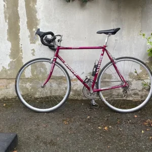 Daccordi Furioso Collector Grade Race Bike – Original Italian Steel, Campagnolo Components