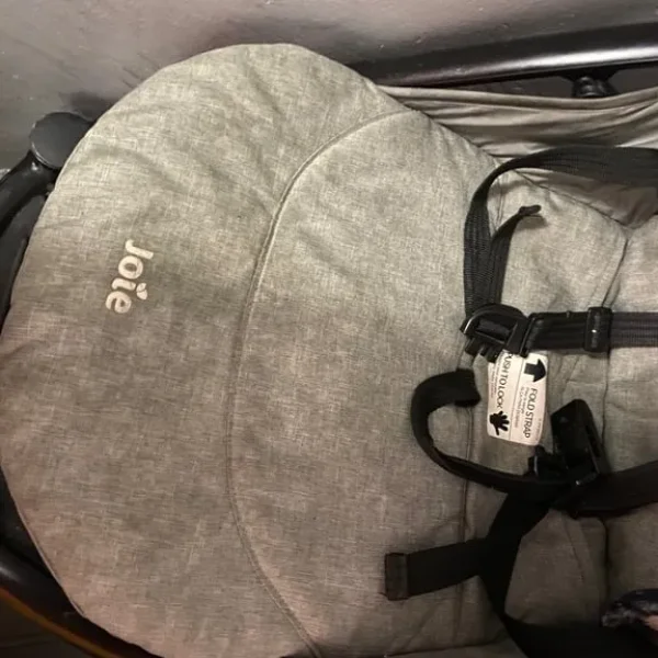 Joie Litetrax